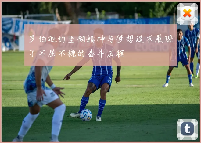罗伯逊的坚韧精神与梦想追求展现了不屈不挠的奋斗历程